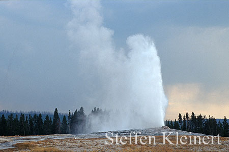 100 Old Faithful Geyser