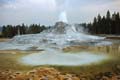 090 Castle Geyser