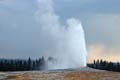 100 Old Faithful Geyser