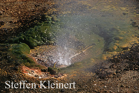 047 West Thumb - Geyser