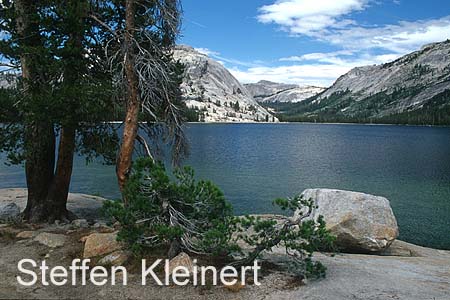 yosemite np - tenaya lake 002