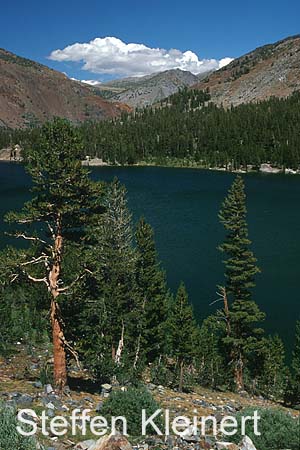 yosemite np - tioga pass - ellery lake 086