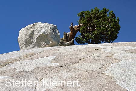 yosemite np - tioga pass - olmsted point 072