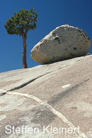 yosemite np - tioga pass - olmsted point - national park usa 073