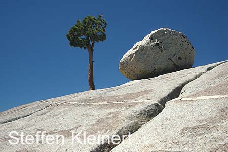 yosemite np - tioga pass - olmsted point - national park usa 074