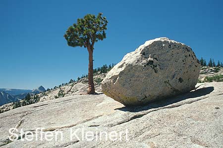 yosemite np - tioga pass - olmsted point 075