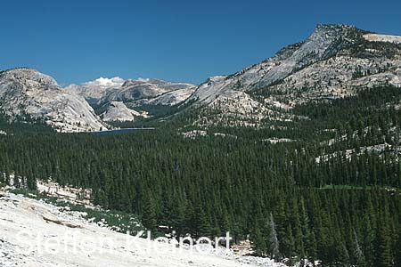 yosemite np - tioga pass - tenaya lake 079