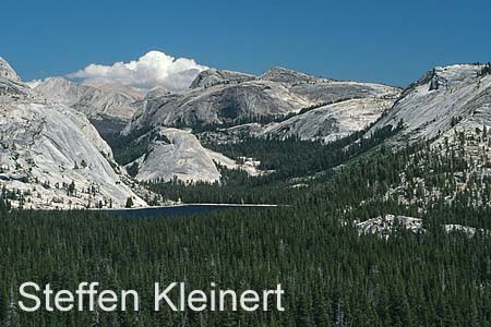 yosemite np - tioga pass - tenaya lake - national park usa 080