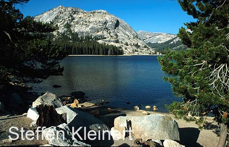 yosemite np - tioga pass - tenaya lake - national park usa 094