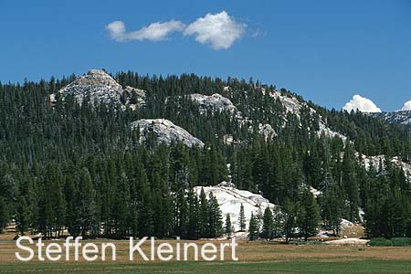 yosemite np - tioga pass - tuolumne meadows 083