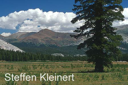 yosemite np - tioga pass - tuolumne meadows - national park usa 084