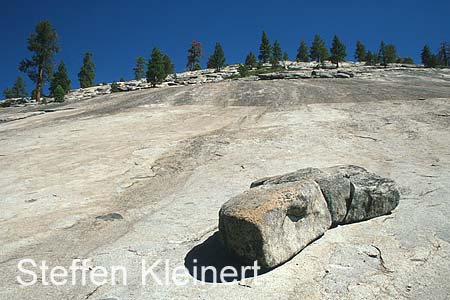 yosemite np - tioga pass - national park usa 066