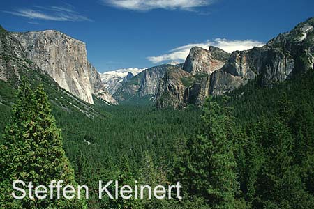 yosemite np - yosemite valley - el capitan - half dome - national park usa 033