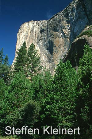 yosemite np - yosemite valley - el capitan 020