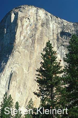 yosemite np - yosemite valley - el capitan 023