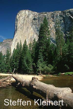 yosemite np - yosemite valley - el capitan 026