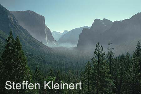 yosemite np - yosemite valley - el capitan - national park usa 063