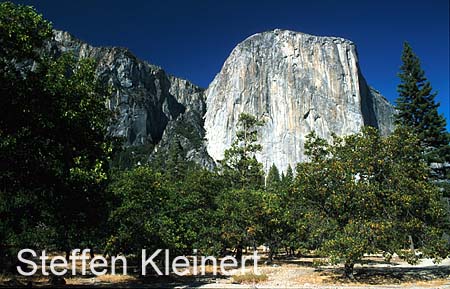 yosemite np - yosemite valley - el capitan 088