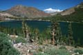 yosemite np - tioga pass - ellery lake 087