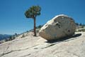 yosemite np - tioga pass - olmsted point 075