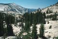 yosemite np - tioga pass - olmsted point 077