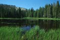 yosemite np - tioga pass - siesta lake 068