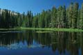 yosemite np - tioga pass - siesta lake 069