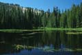 yosemite np - tioga pass - siesta lake 070