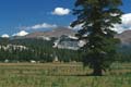 yosemite np - tioga pass - tuolumne meadows 085