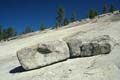 yosemite np - tioga pass 065