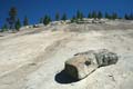 yosemite np - tioga pass 066