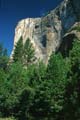 yosemite np - yosemite valley - el capitan 020