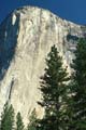 yosemite np - yosemite valley - el capitan 023