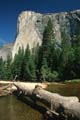 yosemite np - yosemite valley - el capitan 026