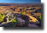 Canyonlands NP, Grand View Point, Utah, USA