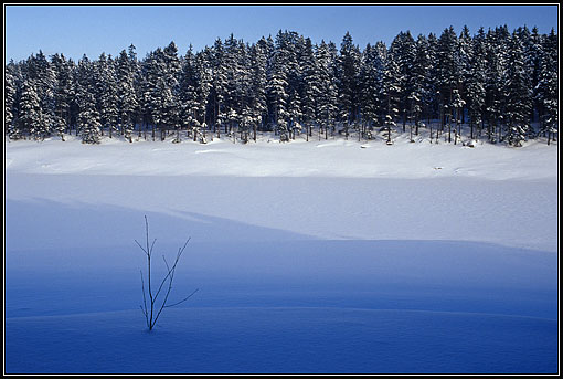 oderteich im harz