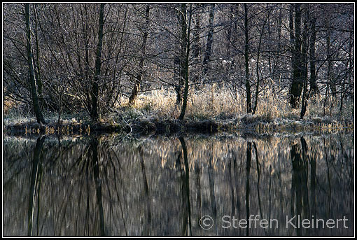 Okertalsperre - Harz - Deutschland