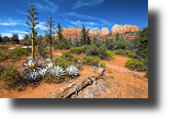 Sedona, Red Rocks, Arizona, USA