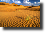 White Wash Sand Dunes, Utah, USA